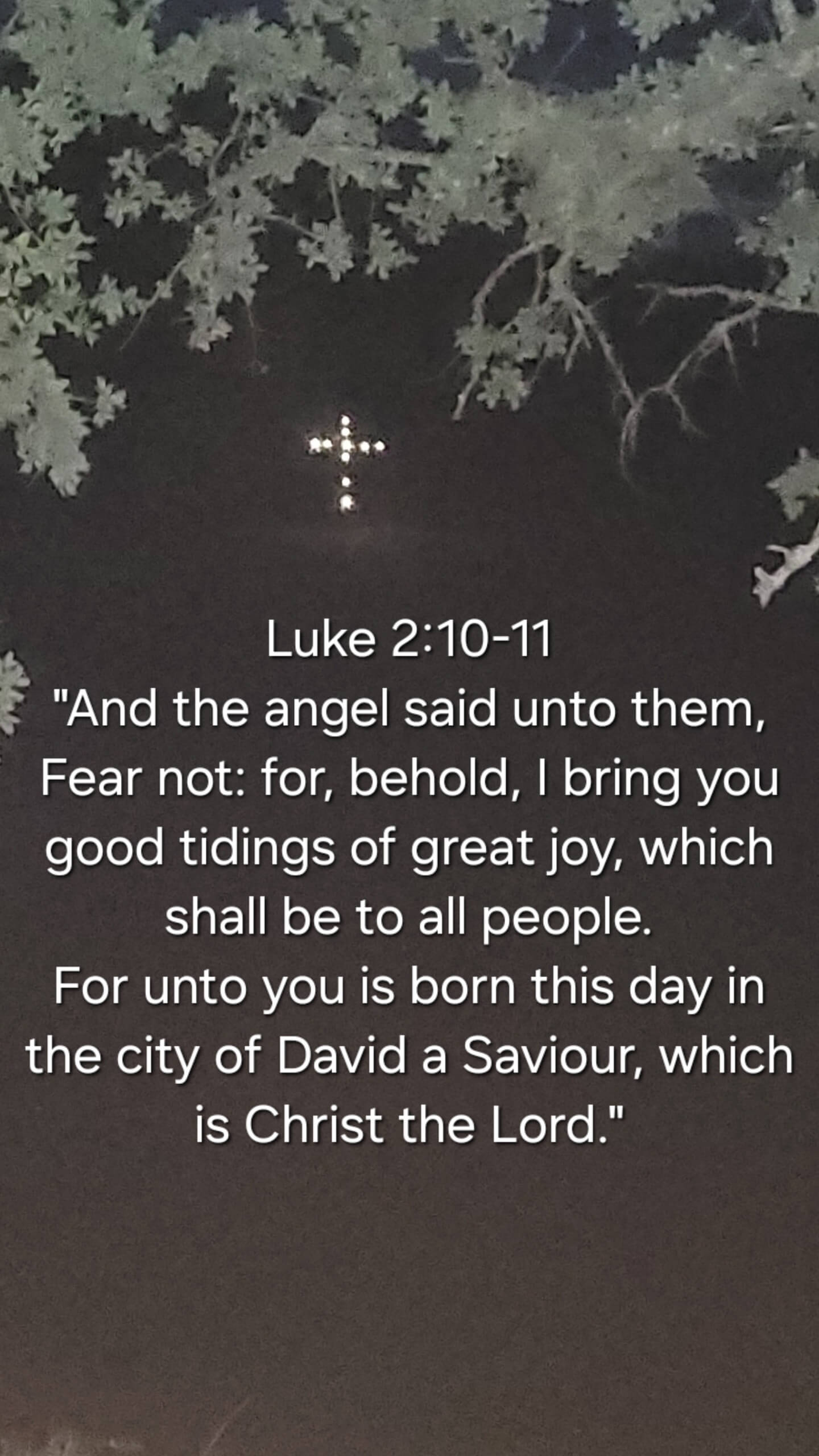 Luke 2:10-11