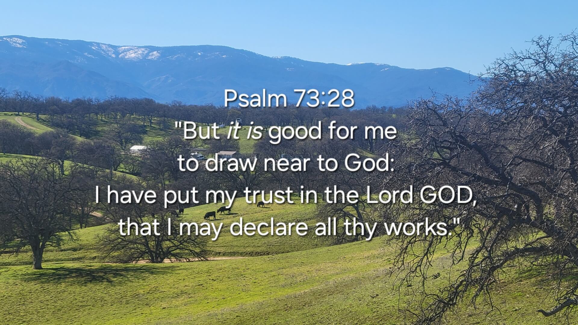 psalm 73 28